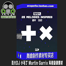 百大DJ 小马丁 Martin Garrix风格旋律Midi文件
